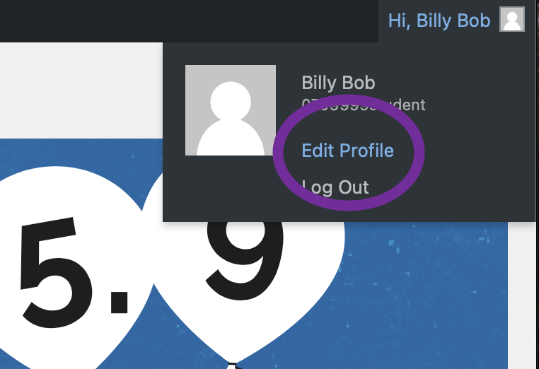 Screenshot of Edit Profile link in an example eportfolio
