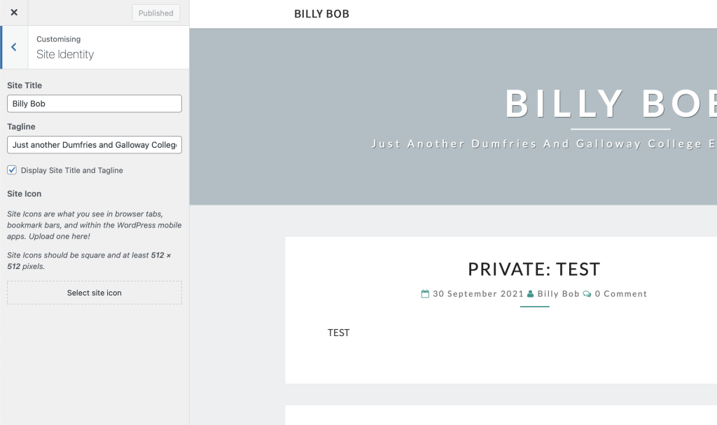 Screenshot of the customiser page